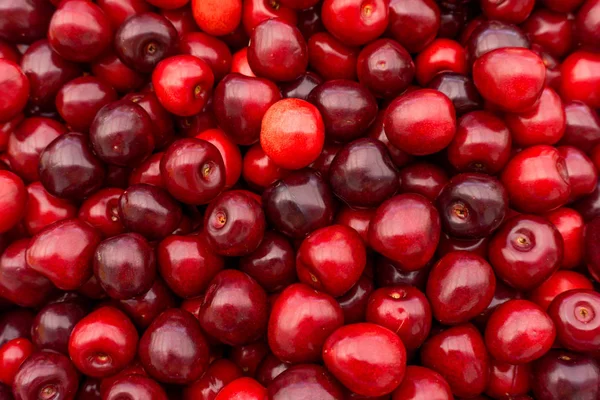 Fondo de cereza dulce. cerezas maduras — Foto de Stock