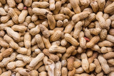 Fıstık tohum. Kabuklarında birçok yer fıstığı. Fıstık arka plan