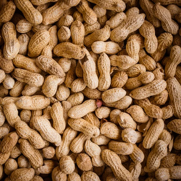 Fıstık arka plan. Çiğ fıstık. Birçok Fıstık kabukları