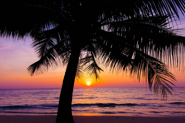 Solnedgång landskap. stranden solnedgång. Palm träd silhuett på sunset — Stockfoto