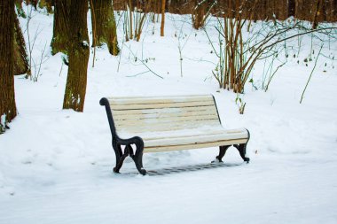 Kış parkta. Kış city Park banklar