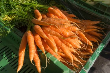 Pazarda taze havuç.