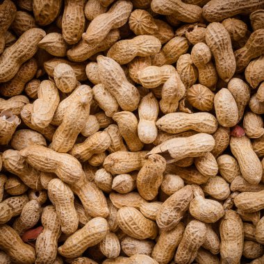 Fıstık tohum. Kabuklarında birçok yer fıstığı. Fıstık arka plan