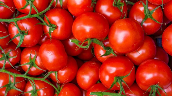 红色西红柿背景。西红柿类 — 图库照片