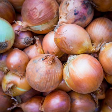 Taze soğan. Soğan arka plan. Olgun soğan