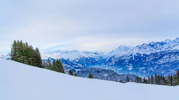 Χειμωνιάτικο τοπίο. χειμώνα με φόντο. βουνά το χειμώνα — Φωτογραφία Αρχείου