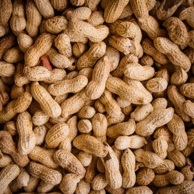 Fıstık arka plan. Çiğ fıstık. Birçok Fıstık kabukları