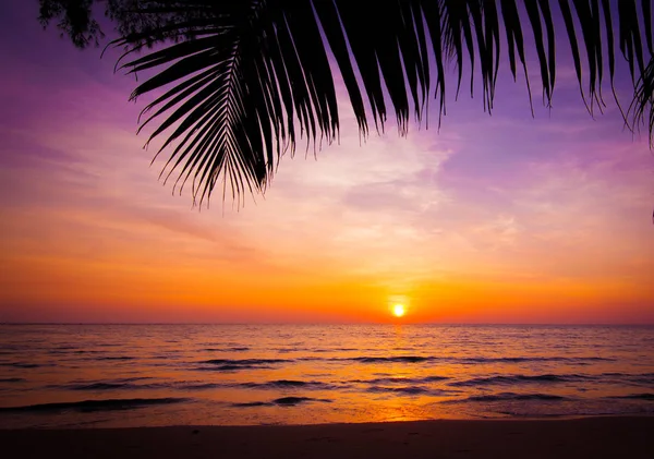 Закат пейзажа. пляжный закат. закат на пляже — стоковое фото
