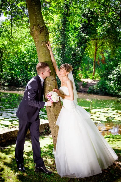 Casal alegre. Casamento — Fotografia de Stock