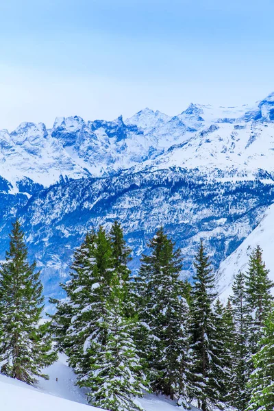 冬の風景。冬の背景。冬の山 — ストック写真