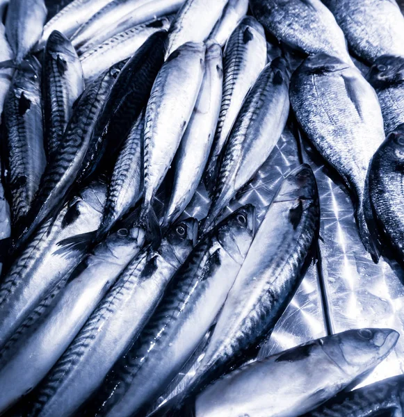 Fresh fish on ice. seafood at the fish market — Stock Photo, Image