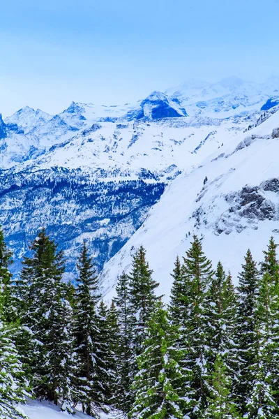 Paisagem de inverno. fundo de inverno. montanhas no inverno — Fotografia de Stock