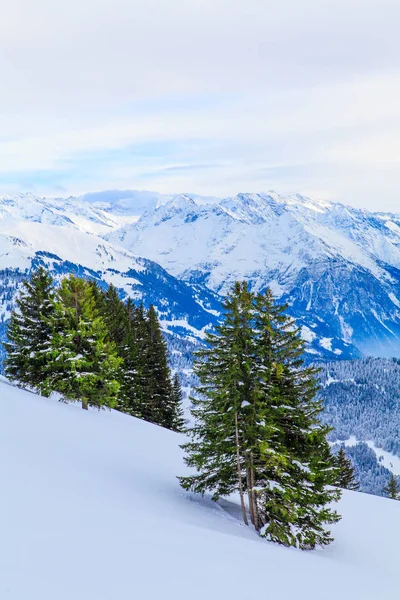 Paisagem de inverno. fundo de inverno. montanhas no inverno — Fotografia de Stock