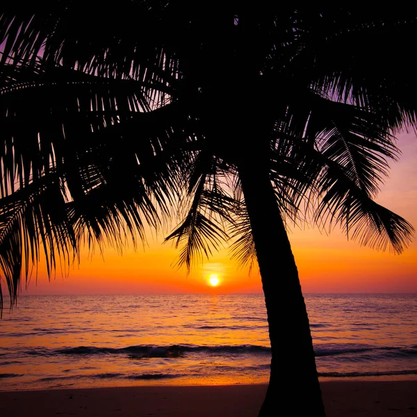 Закат пейзажа. пляжный закат. закат на пляже — стоковое фото