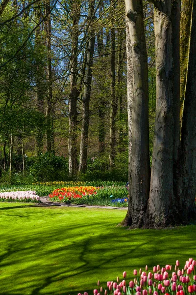 Jardín formal ajardinado. Parque. Hermoso jardín . — Foto de Stock