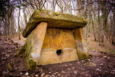 Dolmen ormanın içinde. Gelendzhyk, Rusya yakın