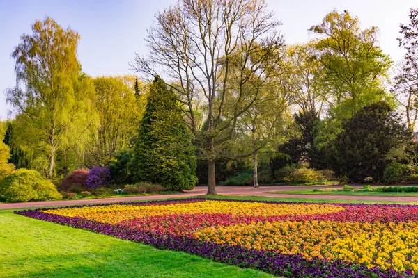 Διαμορφωμένος κήπος επίσημο. Πάρκο. δημόσιο πάρκο — Φωτογραφία Αρχείου