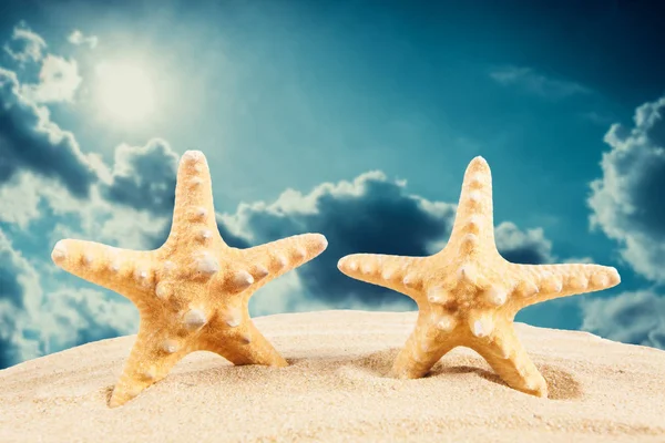 Estrella de mar en la playa de arena, concepto de viaje. Fondo de verano. Suma — Foto de Stock