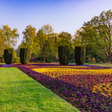 Resmi Bahçe. Park. kamu Parkı 