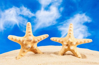 Yaz tatili. Seyahat kavramı arka plan