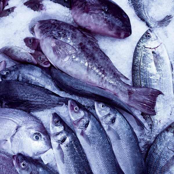 Свежие морепродукты. Свежая рыба на рынке. Свежая дорада
