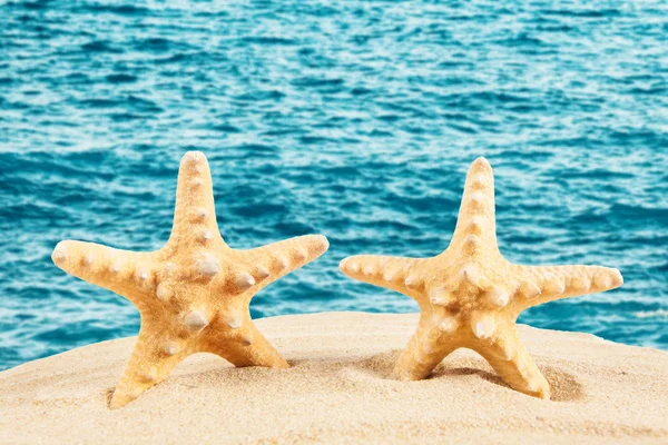 Estrella de mar en la playa de arena, concepto de viaje. Fondo de verano. Suma —  Fotos de Stock