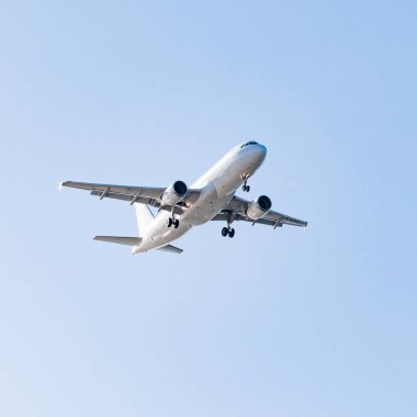 mavi bir arka plan beyaz uçakta. uçak gökyüzünde