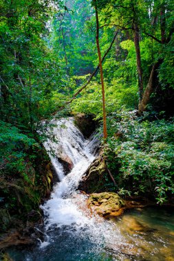 Şelale. Güzel manzara şelale peyzaj