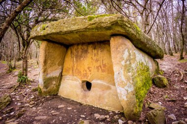 Dolmen ormanın içinde. Gelendzhyk, Rusya yakın