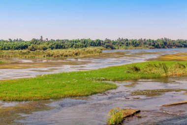 Nil Nehri. Mısır Nil