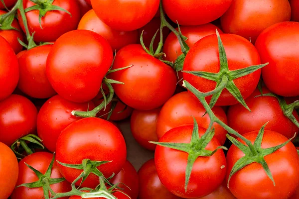 Röda tomater bakgrund. Tomatgrupp — Stockfoto