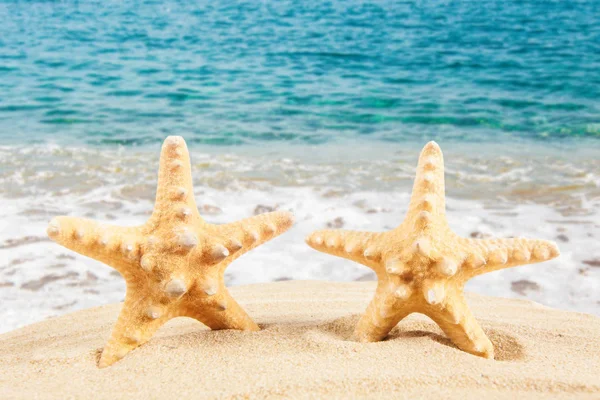 Rozgwiazda na piaszczystej plaży, podróżować pojęcie. Lato na tle. SUMM — Zdjęcie stockowe
