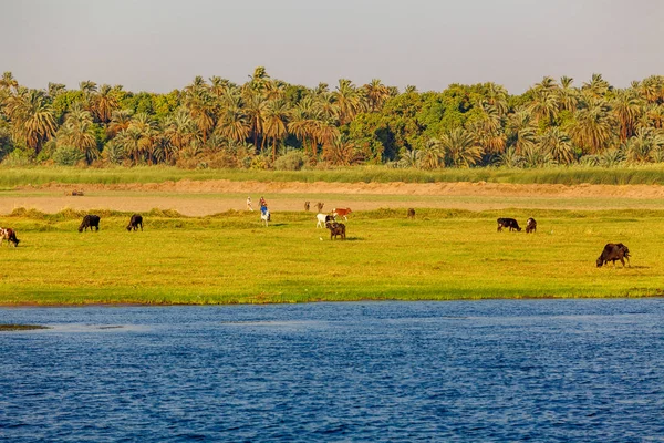 Der Nil in Ägypten. Leben auf dem Nil — Stockfoto