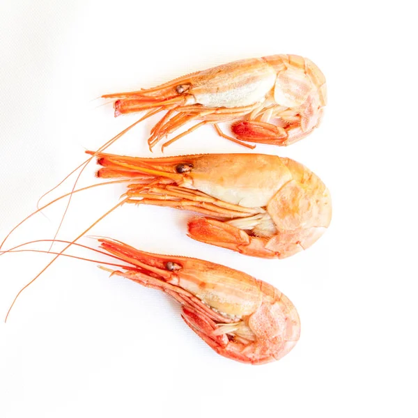 Shrimp isolated on white background. — Stock Photo, Image