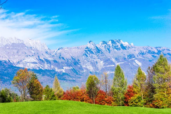 Paisaje con montañas y árboles. Increíble vista de la montaña —  Fotos de Stock