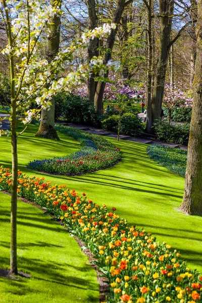 Hermoso jardín en primavera. Flores de colores y flores — Foto de Stock