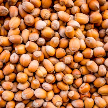 Fındık. fındık arka plan deseni. Doku