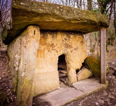 Dolmen ormanın içinde. Gelendzhyk, Rusya yakın