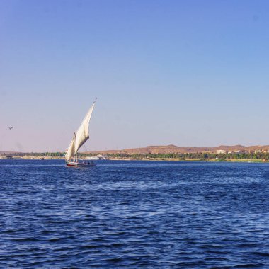 Mısır 'da Nil Nehri. Nil Nehri 'nde Yaşam