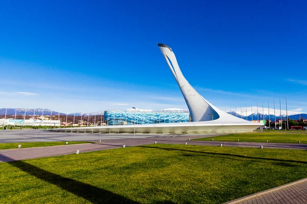 Soçi, Rusya - 16 Ocak 2016: Sochi Olimpiyat ateşi kapta