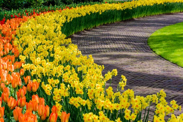 Jardin formel de printemps. Beau jardin de fleurs colorées — Photo
