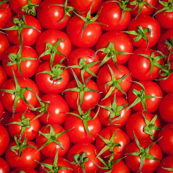Red tomatoes background. Group of tomatoes.tomato — Stock Photo, Image