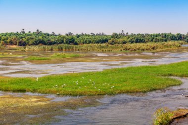Nil Nehri. Mısır Nil
