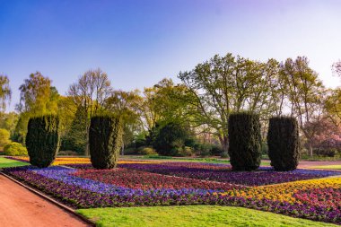 Çiçek Park. Güzel bahçede renkli çiçek.