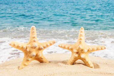 Yaz tatil kavramı. Yaz tatil plaj sahil. Summer