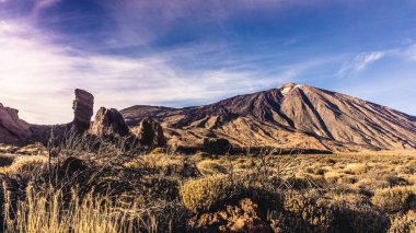 Teide Milli Parkı, Tenerife, Kanarya Adaları, İspanya. Volkan T