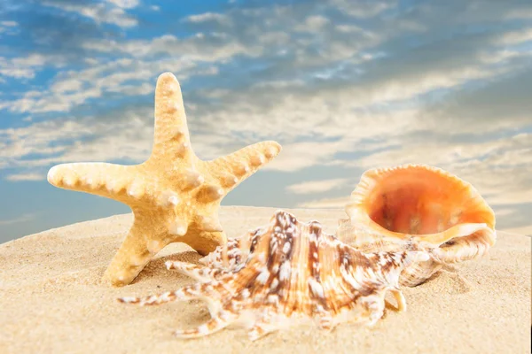 Summer vacation concept. Summer Holidays in Beach Seashore. Summ — Stock Photo, Image