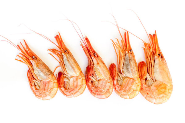 Креветки изолированы на белом фоне.