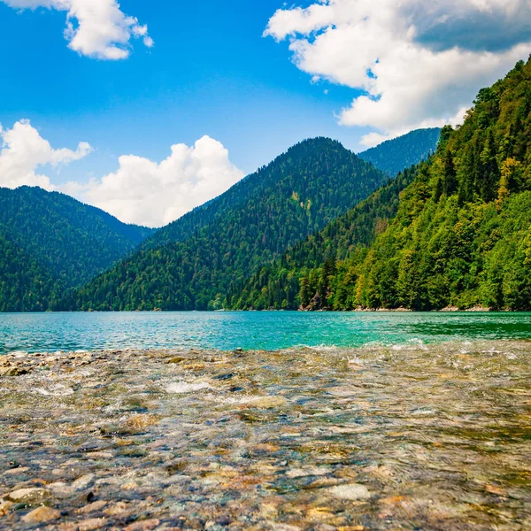 Su manzara. Göl. güzel manzara