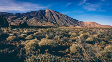 Teide Milli Parkı, Tenerife, Kanarya Adaları, İspanya. Volkan T